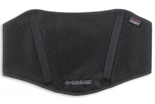 Held mago outlast nierengurt - held,